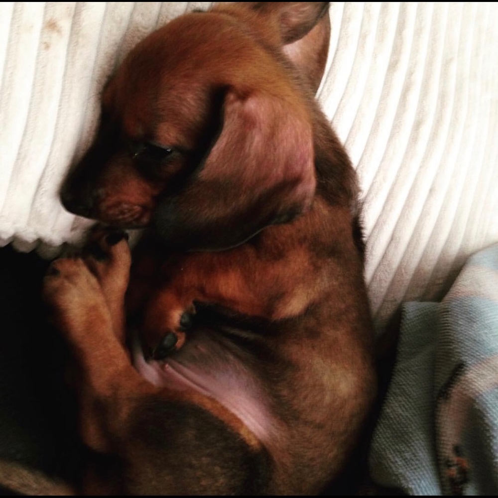 Meet your Posher, Kristen